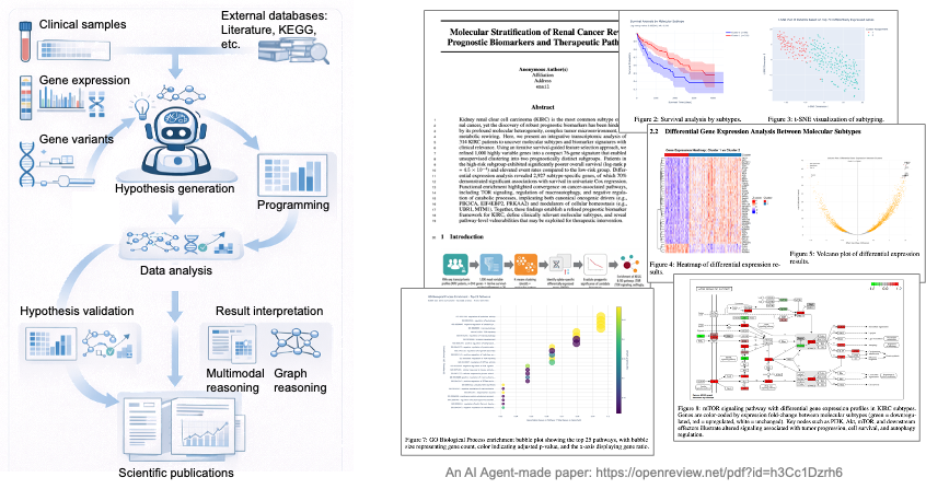 BioDSA: from data to biomarker discovery and paper writing, all driven by an AI agent